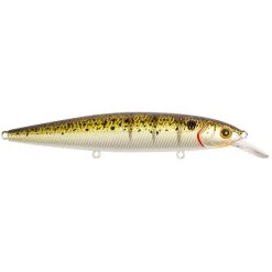 Strike Pro Bold, 11cm, 15g