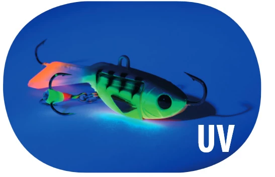 Alpina Glider â Image 2