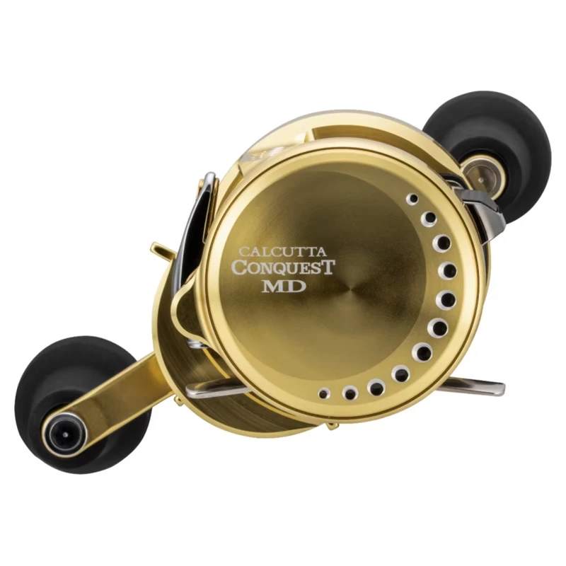 Shimano Calcutta Conquest MD 301XGLH â Image 4