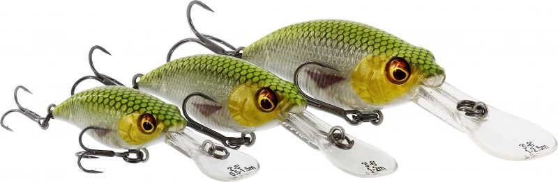 Westin BuzzBite Crankbait Suspending â Image 3